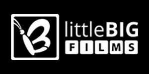 Logo of Little Big Films